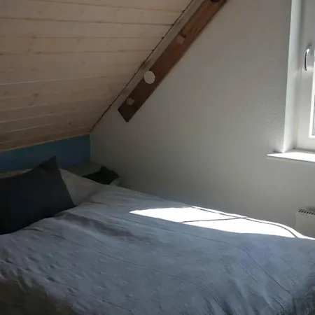 Summer House For Relaxation And Activity